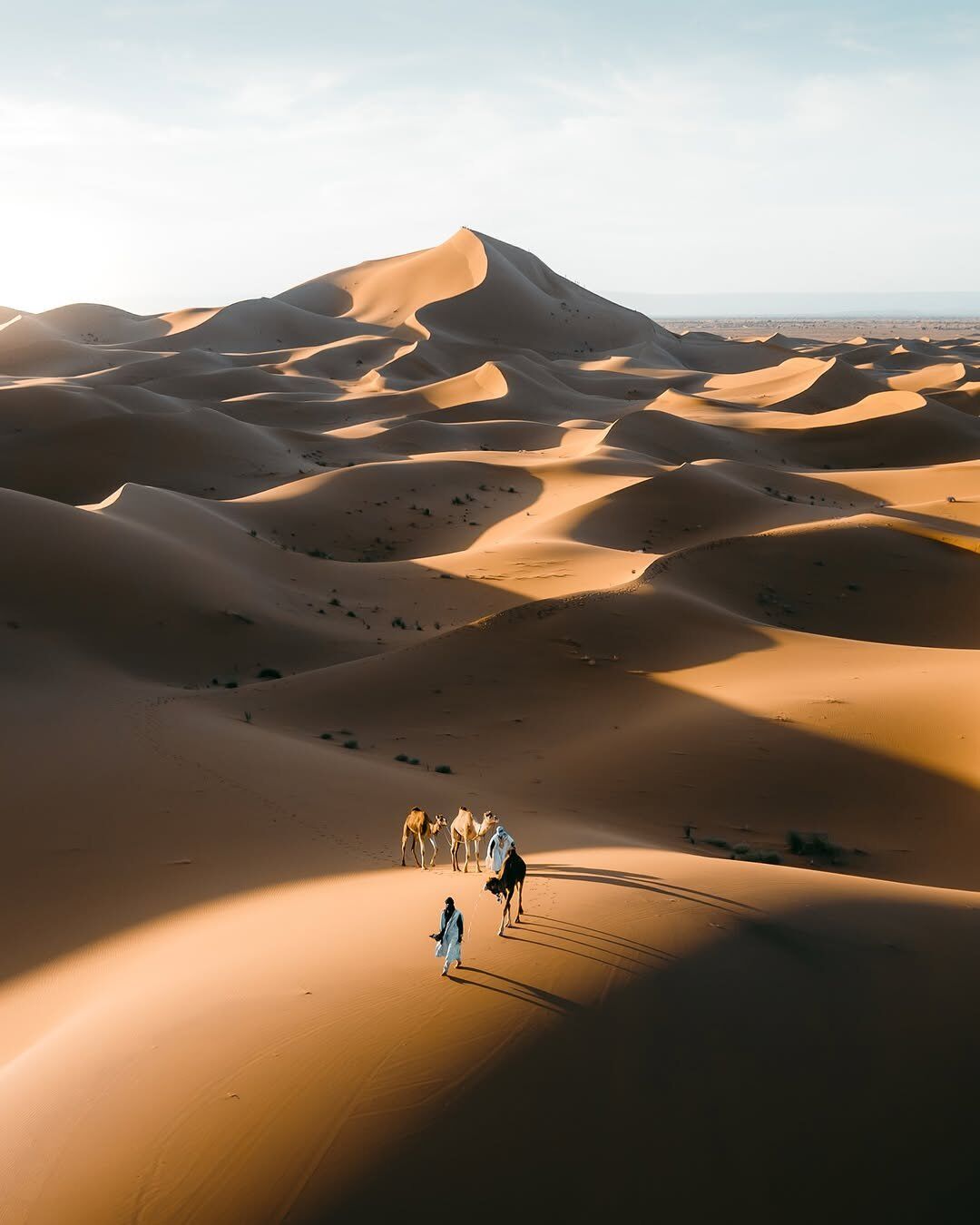 Morning Desert Safari